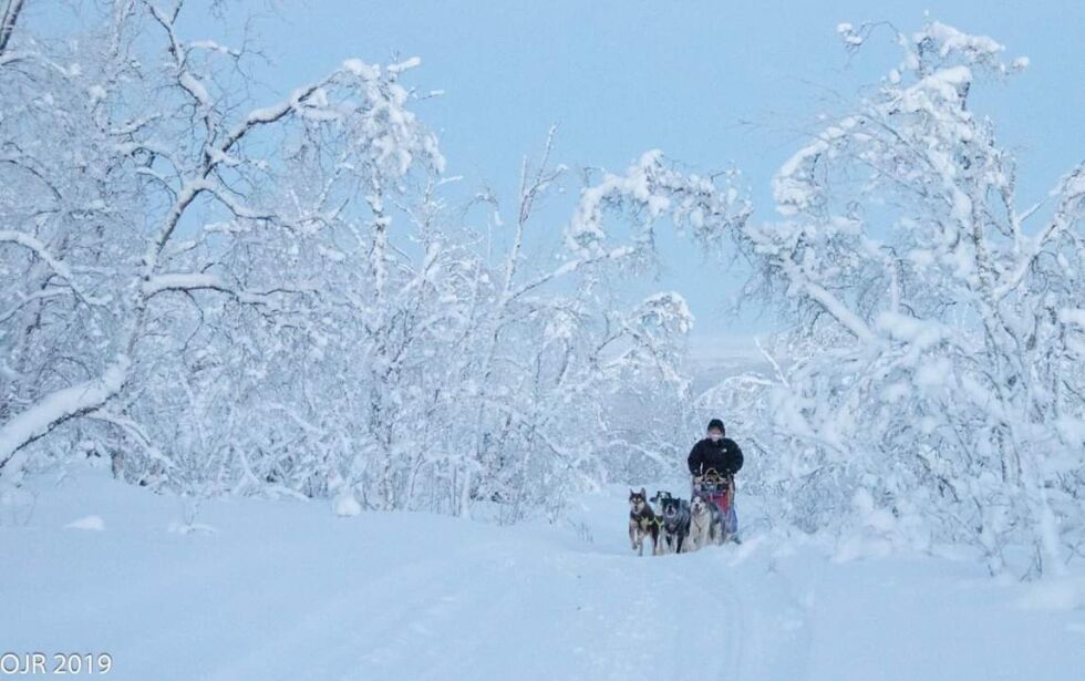 Fra onsdag til lørdag vil terrenget fra Vadsø i øst til Bonakas i vest være preget av hunder og hundekjørere.
 Foto: Odd Resser