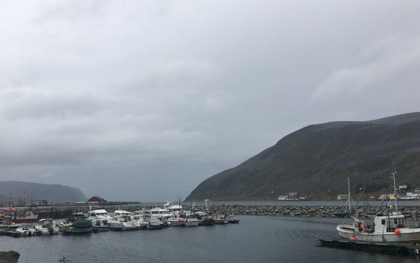 Knus glasstaket! Nord-Norge har det grønneste gresset i hele nasjonen