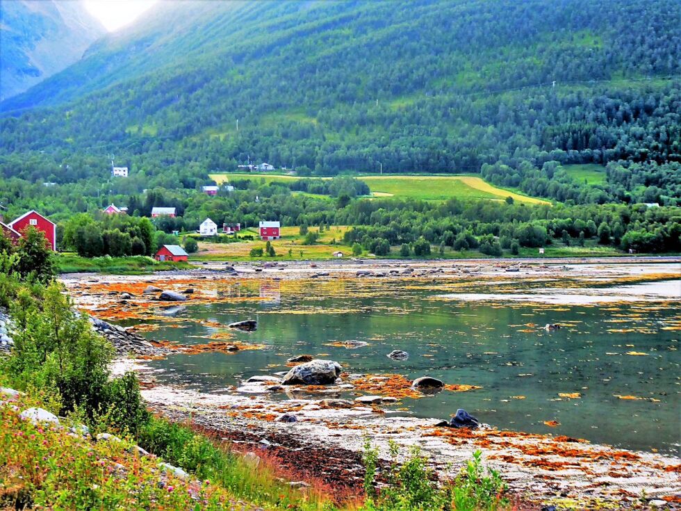 Langfjorddagan er ei sommeruke fylt med ulike arrangementer og underholdning for hele familien. Tema er Langfjord der kulturer møtes.
 Foto: Langfjorddagan